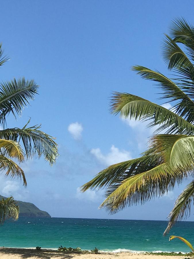 Vista Mare Spectacular Ocean View Top Floor 1-Bedroom Condo, Samana Exterior photo
